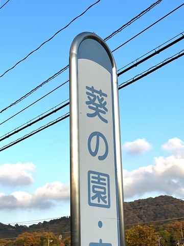 葵の園・安浦