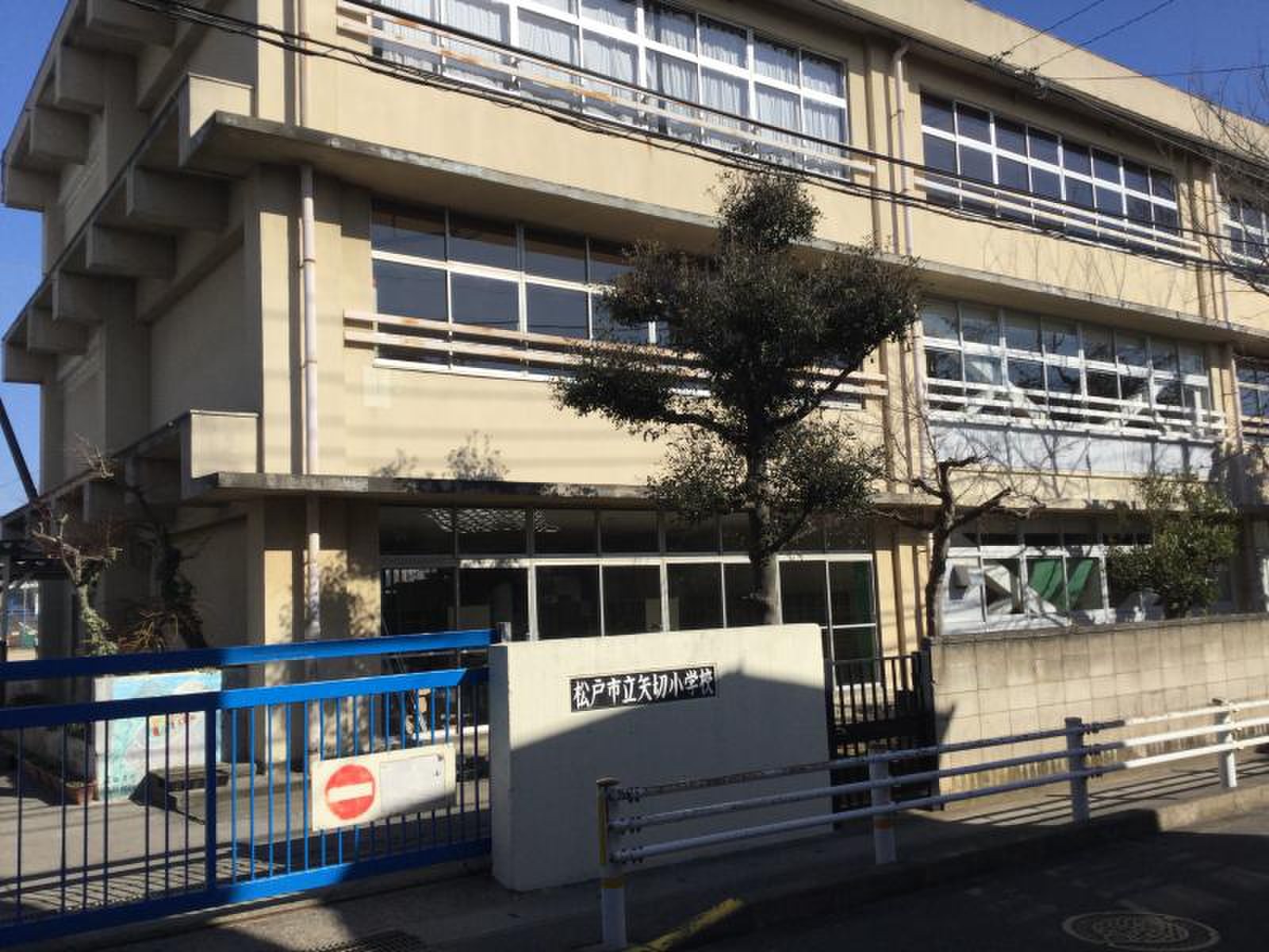 松戸 市立 矢 切 小学校