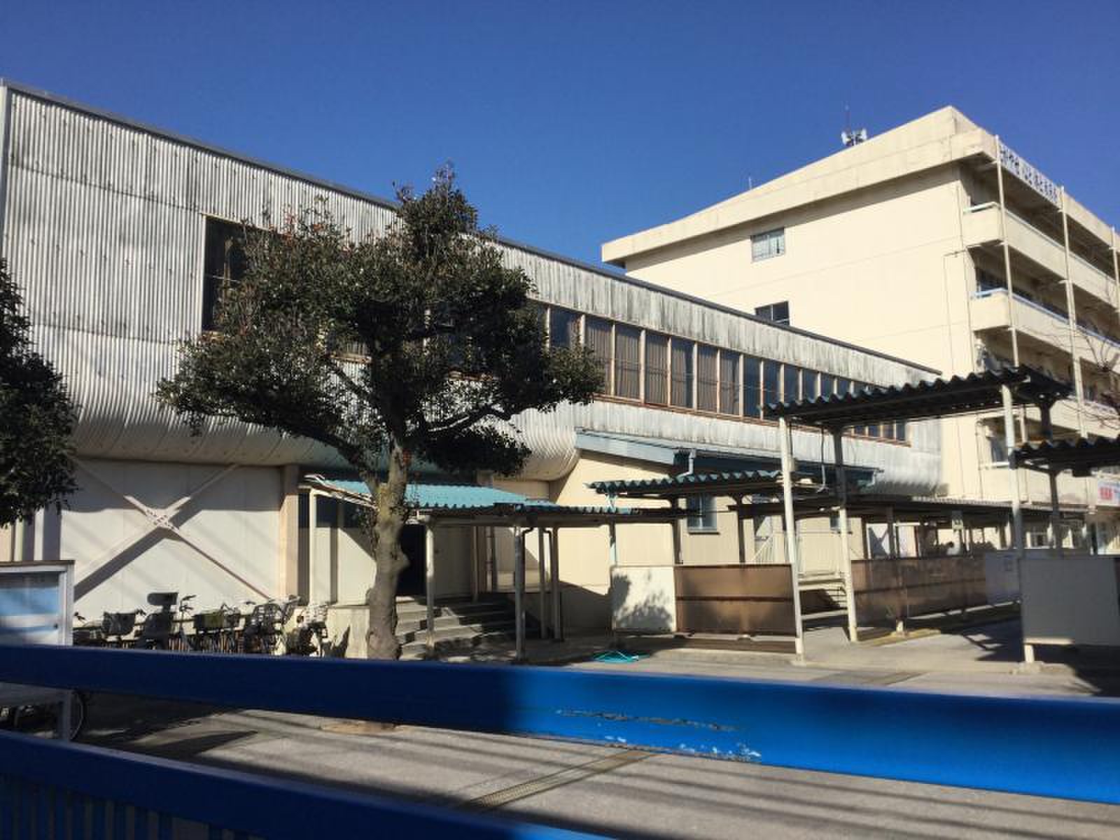 松戸 市立 矢 切 小学校