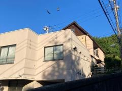 私立湘南白百合学園中学校