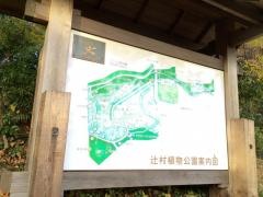 辻村植物公園