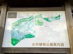 辻村植物公園