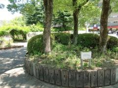 大幸第二公園