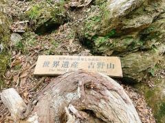 吉野山
