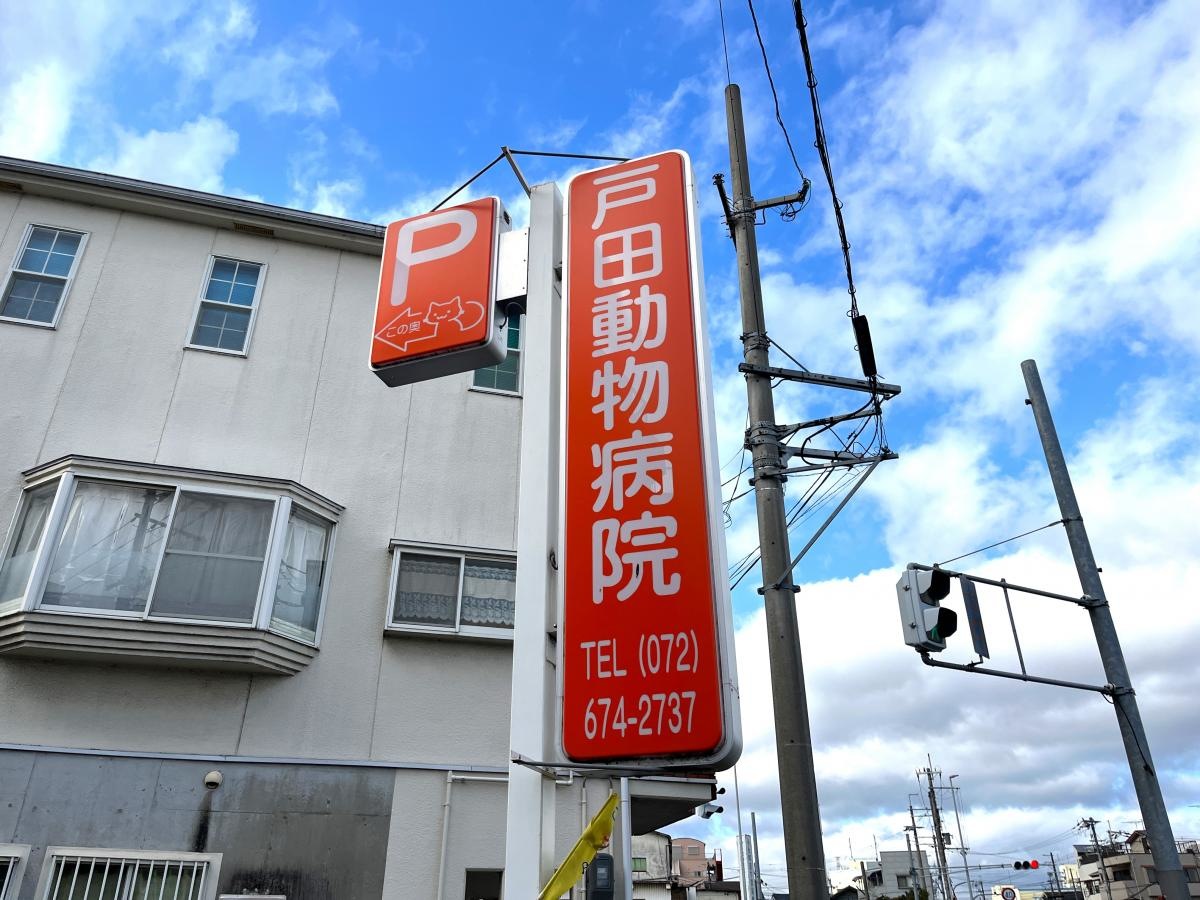 戸田動物病院