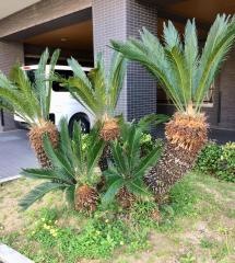 大阪老人ホームうえだ