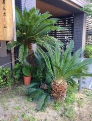 大阪老人ホームうえだ