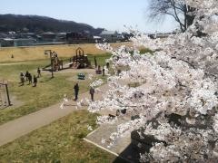 北上市立公園展勝地