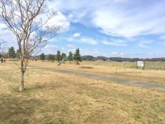 網掛公園