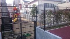 日出幼稚園