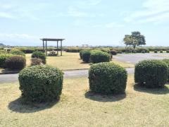 富士川緑地公園