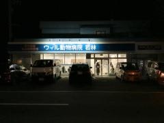ウィル動物病院若林