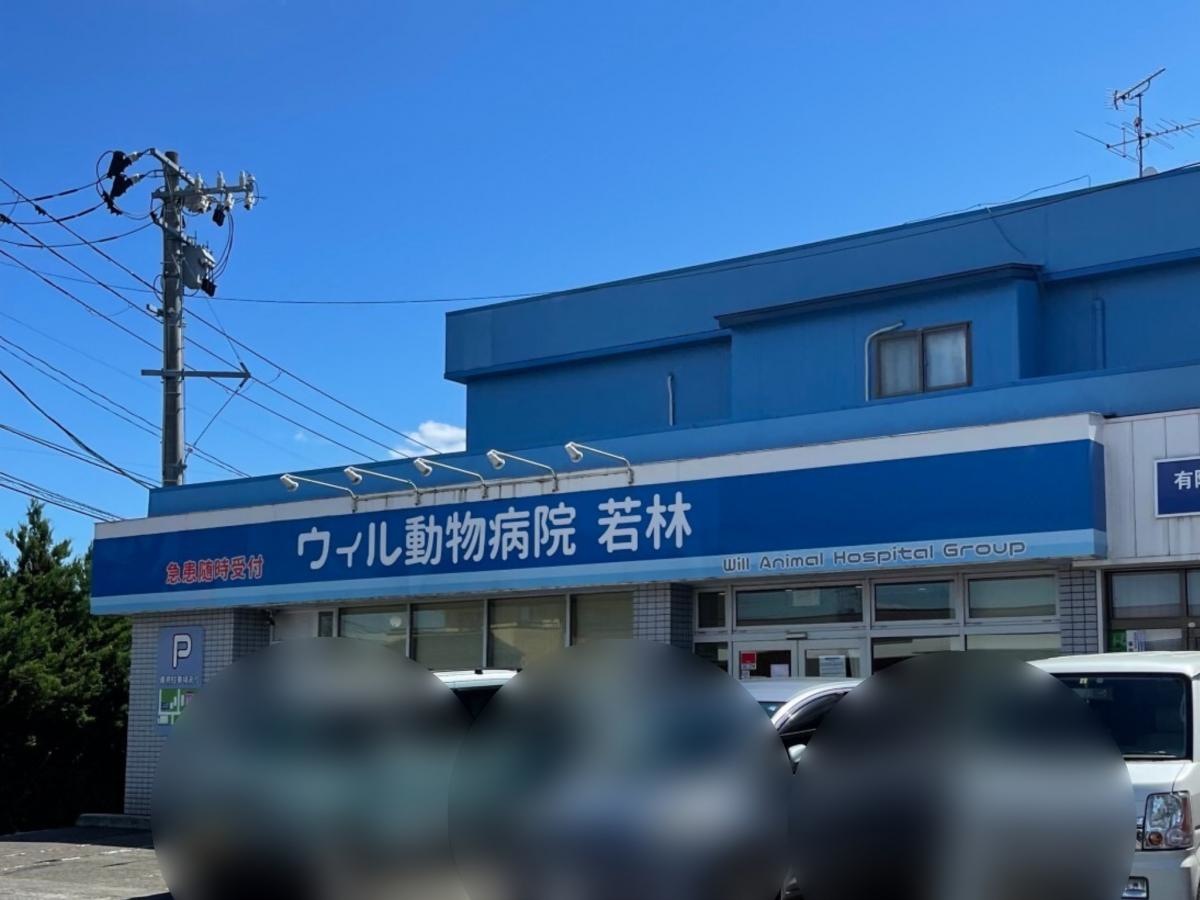 ウィル動物病院若林