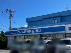 ウィル動物病院若林