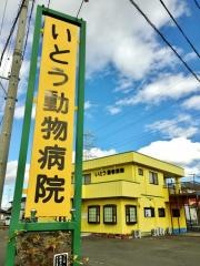 いとう動物病院