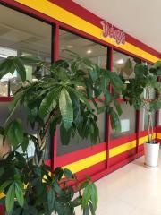 デニーズ　町田109店