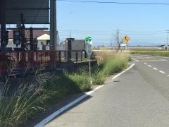 「フェニックス団地」バス停留所