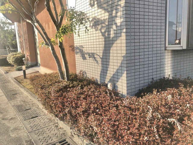 サンホーム小郡 雰囲気