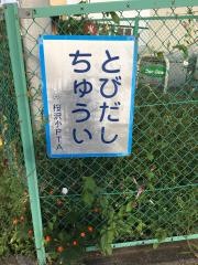 桜沢小学校