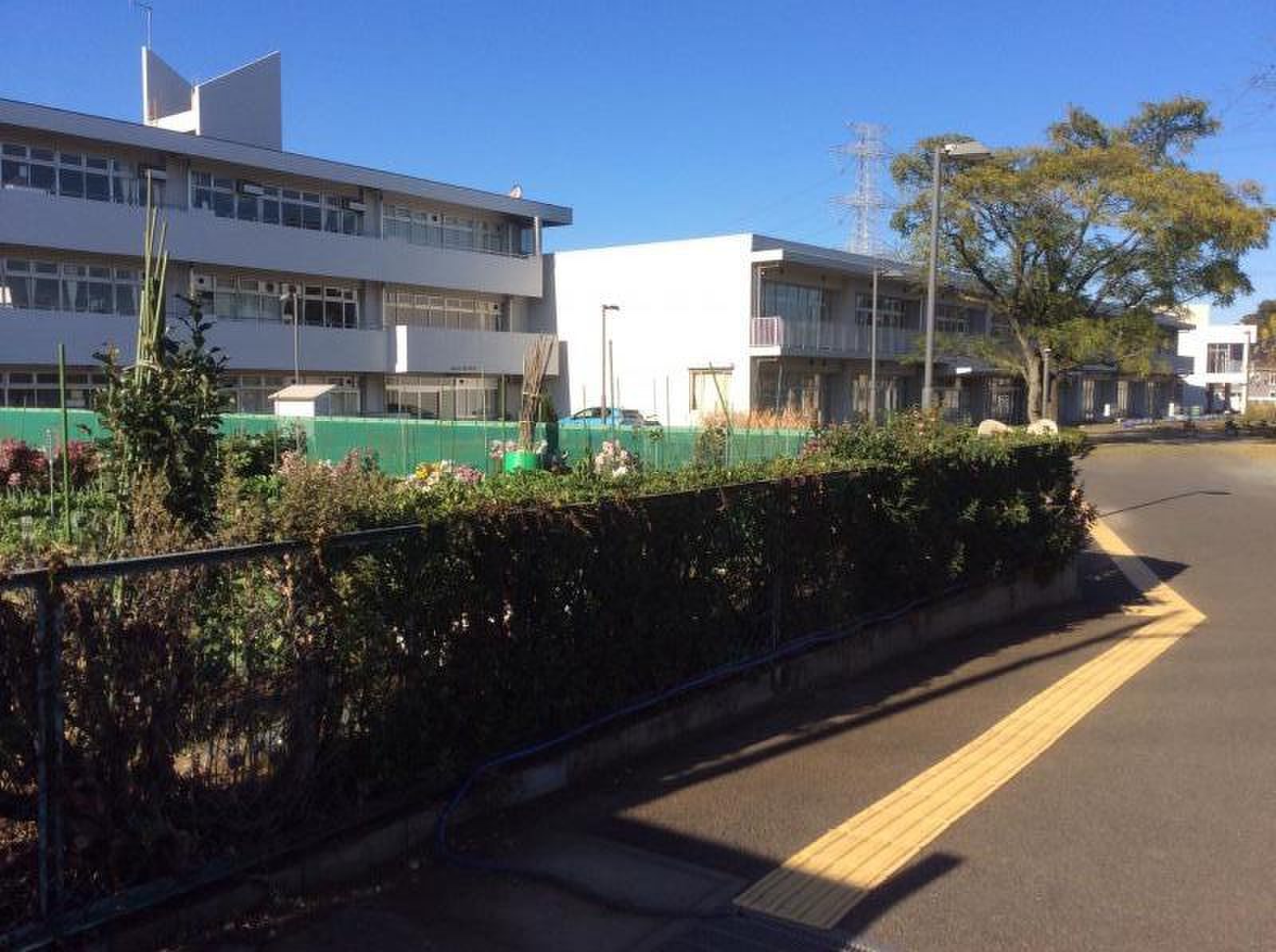 四街道 市立 南 小学校