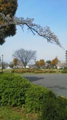 本宮公園