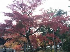 金地院（南禅寺塔頭）