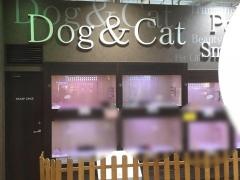 ペットショップオーパ鳥栖店
