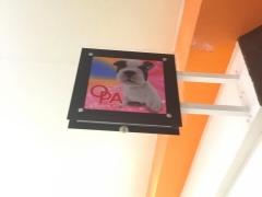 ペットショップオーパ鳥栖店