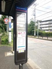 「和光市総合体育館」バス停留所