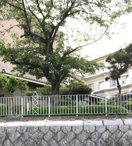 誠和荘 雰囲気