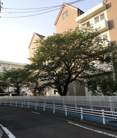 誠和荘 施設外観