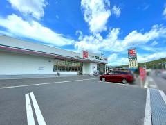 ドラッグセイムス　岡山賞田店