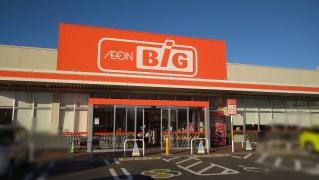 ザ・ビッグ釜大街道店