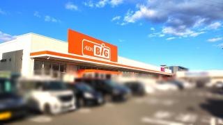 ザ・ビッグ釜大街道店