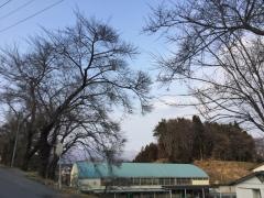 盛小学校