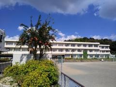 関小学校