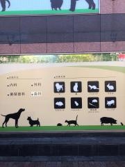 ２１動物病院方南通り院