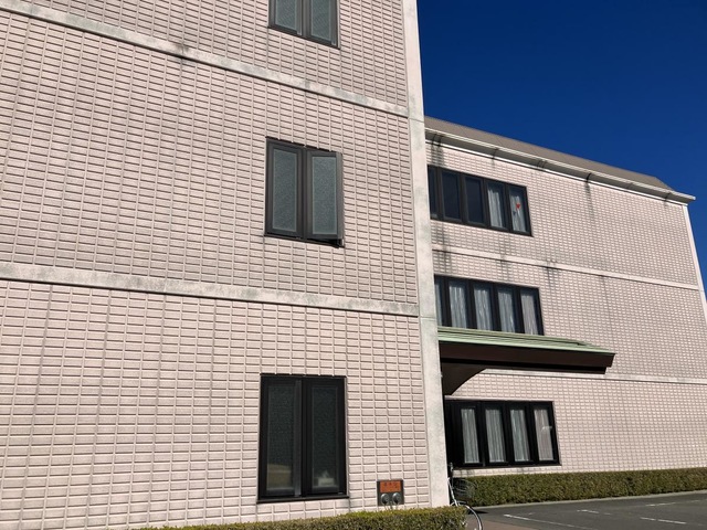 のぞみ