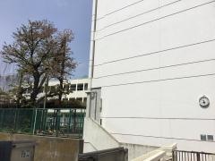 幸ケ谷小学校
