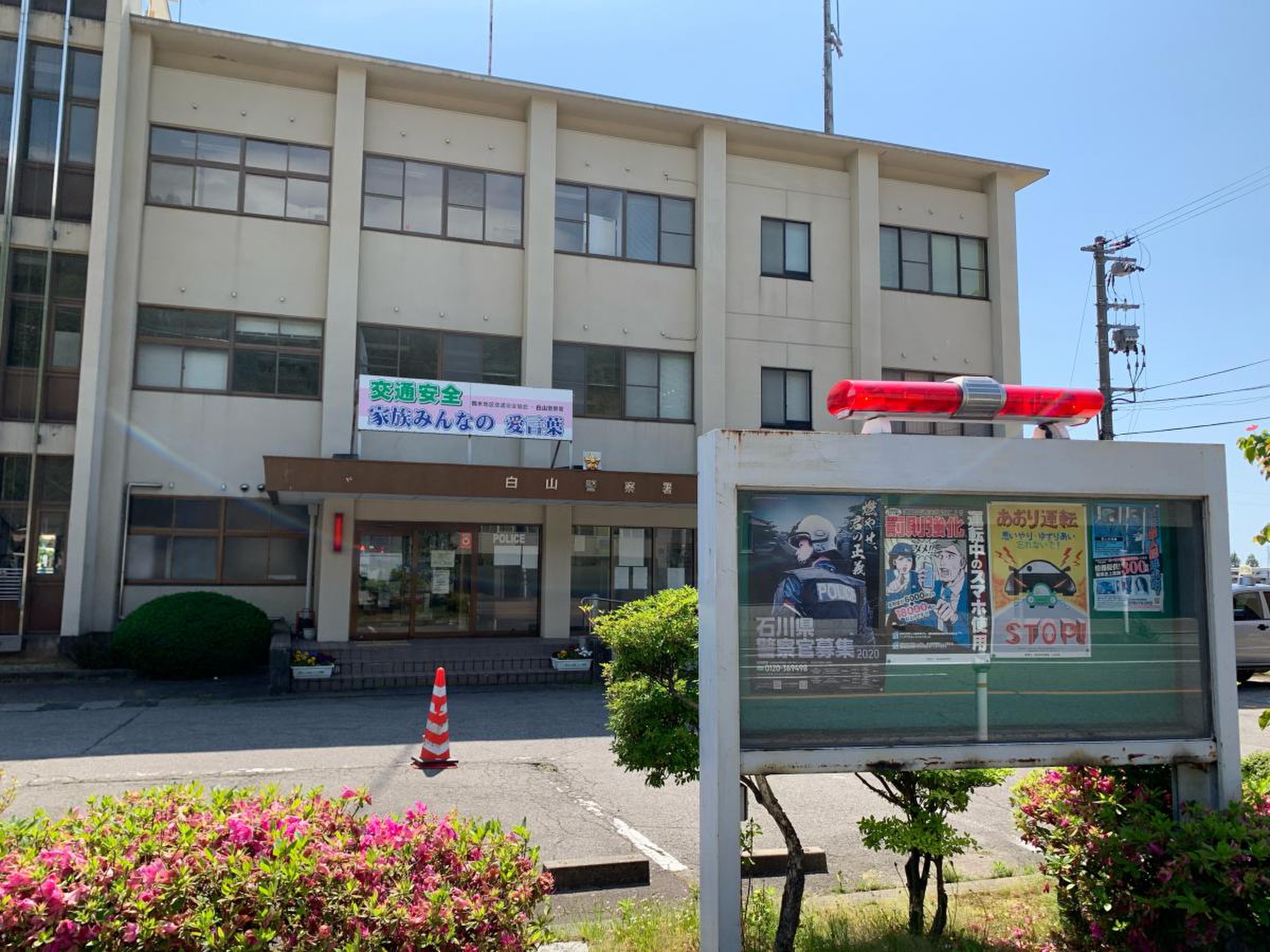 活動歴および当時の関連ビジュアル記録