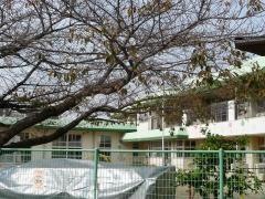 野口保育園
