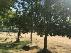 自由が丘小学校