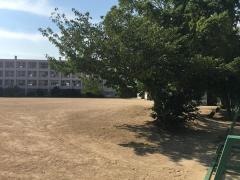 自由が丘小学校