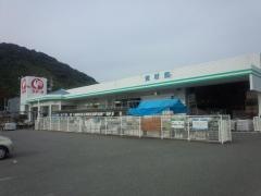 コメリハード＆グリーン　三角店