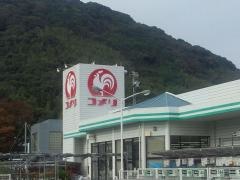 コメリハード＆グリーン　三角店