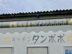 タンポポ