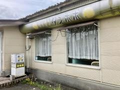タンポポ