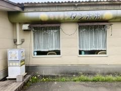 タンポポ