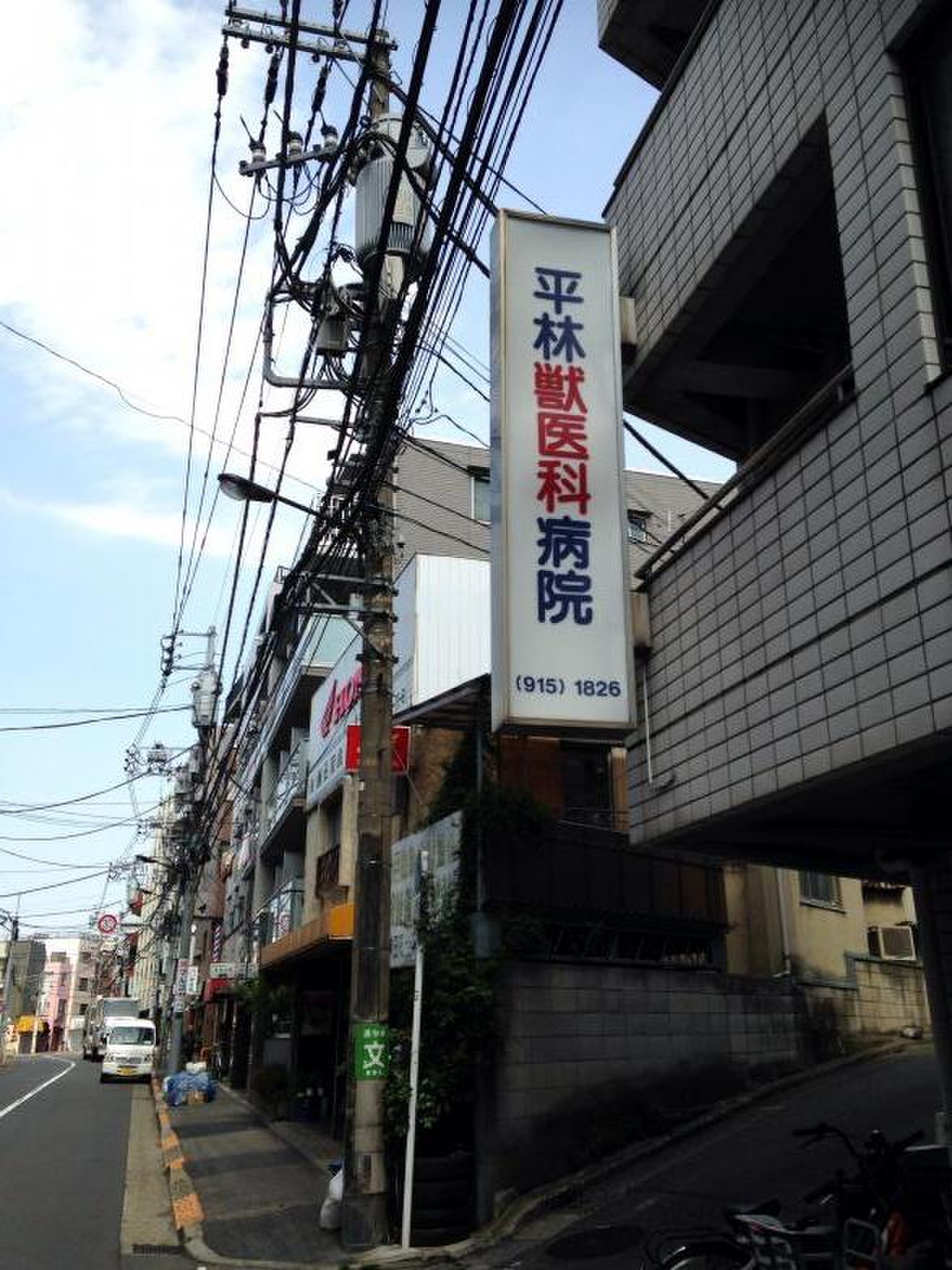 平林 獣医 科 病院