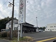 たちばな